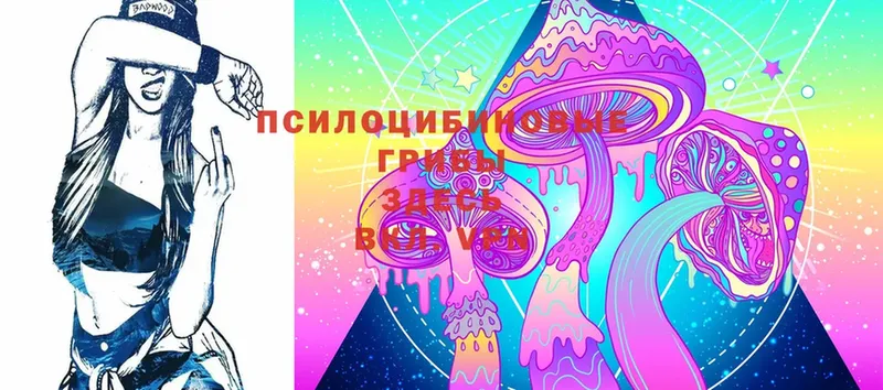 Псилоцибиновые грибы Psilocybine cubensis  Майский 